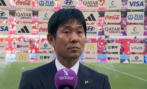 逃离索比堡国语版大伟