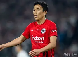 逃离索比堡国语版大伟