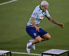 IM电竞官方网站下载-比利时队欧洲杯大名单